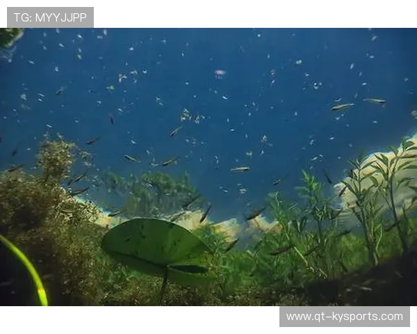 专家提醒:海洋与湖泊水域游泳需防止对生态系统扰动 专家提醒:海洋与湖泊水域游泳需防止对生态系统扰动